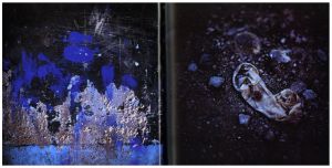 「Silent Book / Miguel Rio Branco」画像2