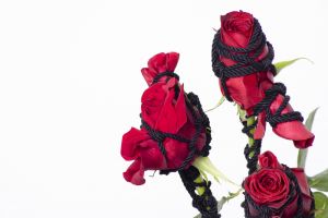 Rose in Bondage #003 Ed.1/5 / Hajime Kinoko