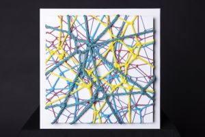 Unison-colorful / Hajime Kinoko