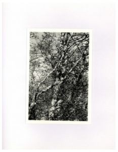 「ALDERS / Robert Adams　Poem: Carolyn Dunn」画像1