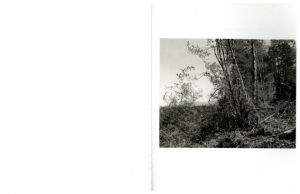 「ALDERS / Robert Adams　Poem: Carolyn Dunn」画像4