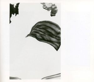 「LESS AMÉRICAINS / Mishka Henner」画像6