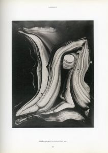 「La Trajectoire du Regard: Une Collection de Photographies du XXE Siecle / Marie-France, Priska Pasquer Bouhours」画像2