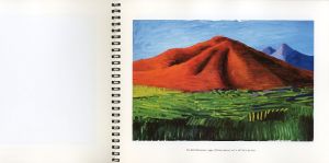 「DAVID HOCKNEY: Things Recent and a Catalogue with New Kinds of Reproduction / David Hockney」画像1