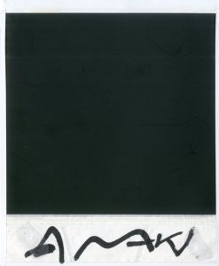 「荒木経惟 ポラロイド No.15 / 荒木経惟」画像1