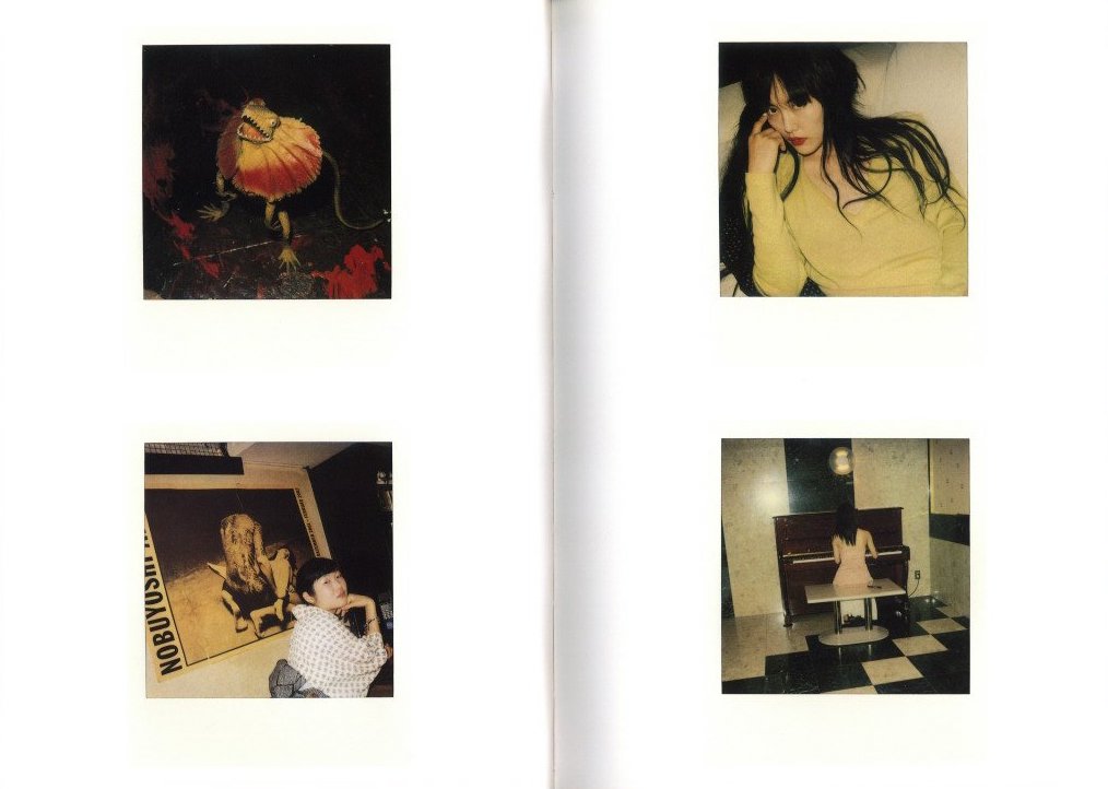 【本物新品保証】 荒木経惟 写真集 Polart Nobuyoshi Araki｜本、雑誌 アート・デザイン・音楽
