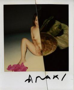 荒木経惟 コラージュ ポラロイド No.2／荒木経惟（Nobuyoshi Araki Collage Polaroid No.2／Nobuyoshi Araki)のサムネール