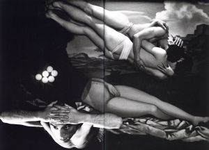 「BA・RA・KEI: ORDEAL BY ROSES II / Model, Preface: Yukio Mishima Photo: Eikoh Hosoe」画像3