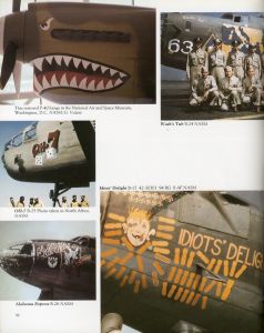 「Vintage Aircraft Nose Art / Author: Gary Valant」画像3