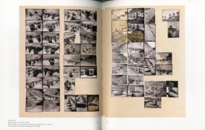 「Anni and Josef Albers: Latin American Journeys / Brenda Danilowitz, Heinz Liesbrock」画像3