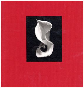 still life／井津建郎（still life／Kenro Izu)のサムネール