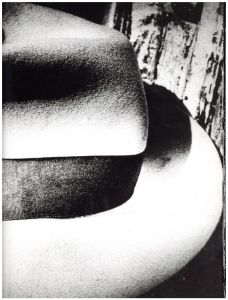 ／森山大道（LIGHT & SHADOW MAGAZINE Special Edition／Daido Moriyama )のサムネール