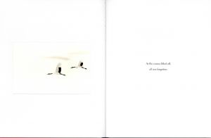 「Twenty One Red-crowned Cranes and One Black Crow / Camille Solyagua」画像1