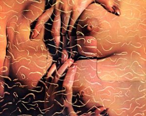 「獣愛　第三のヴィナス / 写真：吉岡康弘　序文：加藤郁乎　構成：杉浦康平」画像2