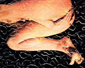 「獣愛　第三のヴィナス / 写真：吉岡康弘　序文：加藤郁乎　構成：杉浦康平」画像3