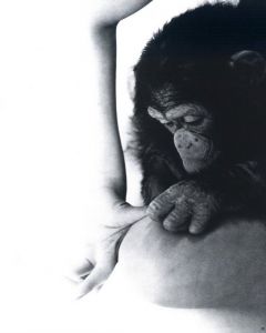 「獣愛　第三のヴィナス / 写真：吉岡康弘　序文：加藤郁乎　構成：杉浦康平」画像7