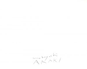 秋桜子 / 荒木経惟 | 小宮山書店 KOMIYAMA TOKYO | 神保町 古書