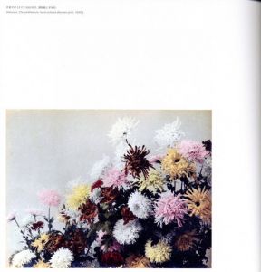 「Tombeau Tokyo Nobuyoshi Araki x Guimet Museum / Nobuyoshi Araki」画像6