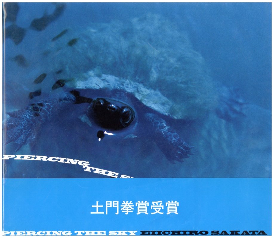 PIERCING THE SKY / 坂田栄一郎 | 小宮山書店 KOMIYAMA TOKYO