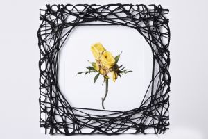 Flower in Bondage (L) ♯002 Ed.1/5 / Hajime Kinoko