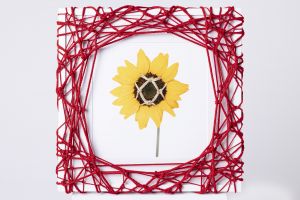 Flower in Bondage (L) ♯004 Ed.1/5 / Hajime Kinoko