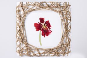 Flower in Bondage (L) ♯005 Ed.1/5 / Hajime Kinoko