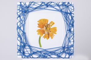 Flower in Bondage (L) ♯006 Ed.1/5のサムネール