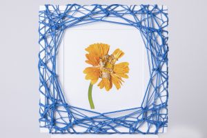 Flower in Bondage (L) ♯006 Ed.1/5 / Hajime Kinoko
