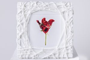 Flower in Bondage (M) ♯001 Ed.1/5 / Hajime Kinoko