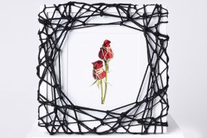 Flower in Bondage (M) ♯002　Ed.3/5 / Hajime Kinoko