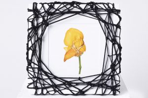 Flower in Bondage (M) ♯006 Ed.1/5のサムネール