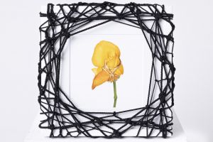 Flower in Bondage (M) ♯006 Ed.1/5 / Hajime Kinoko