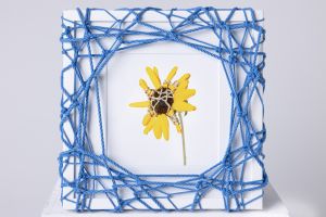Flower in Bondage (M) ♯007 Ed.1/5 / Hajime Kinoko