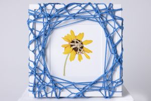 Flower in Bondage (M) ♯008 Ed.1/5 / Hajime Kinoko