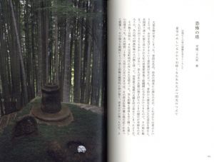 「江之浦奇譚 / 杉本博司」画像2