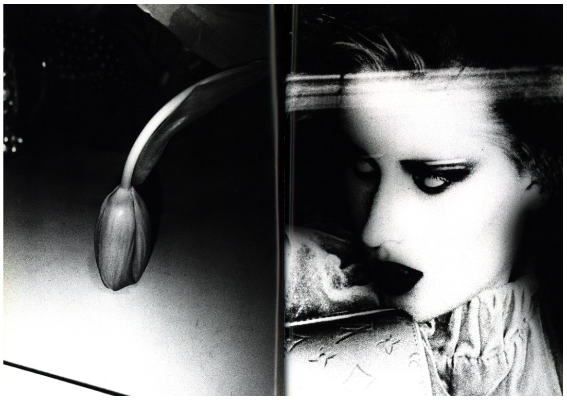 DAIDO MORIYAMA it / 森山大道 | 小宮山書店 KOMIYAMA TOKYO