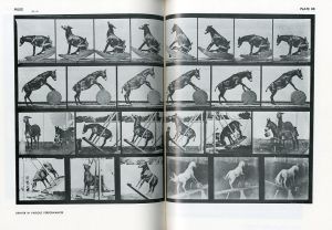 「ANIMALS IN MOTION / Eadweard Muybridge 」画像1
