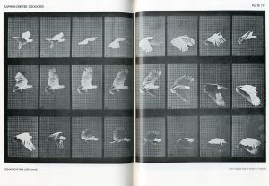 「ANIMALS IN MOTION / Eadweard Muybridge 」画像2
