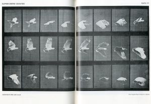 「ANIMALS IN MOTION / Eadweard Muybridge 」画像2
