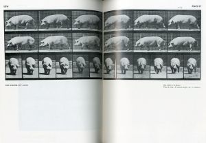 「ANIMALS IN MOTION / Eadweard Muybridge 」画像3