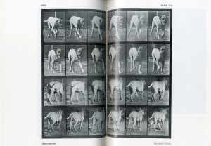 「ANIMALS IN MOTION / Eadweard Muybridge 」画像5