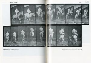 「ANIMALS IN MOTION / Eadweard Muybridge 」画像6