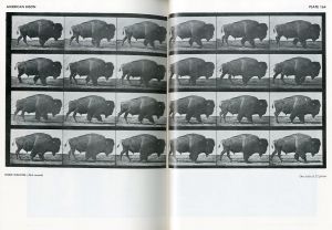 「ANIMALS IN MOTION / Eadweard Muybridge 」画像7