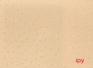ipy／著：安楽寺えみ（ipy／Author: Emi  Anrakuji)のサムネール