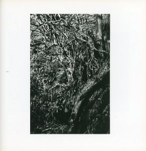 「VISIONS of JAPAN INOSE Kou / Photo: Kou Inose　Supervision: Toshiharu Ito」画像2