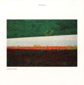 「Franco FONTANA / Franco Fontana」画像5