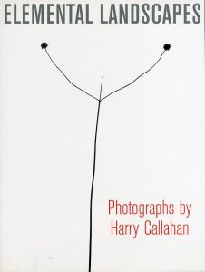 ELEMENTAL LANDSCAPES: Photographs by Harry Callahanのサムネール