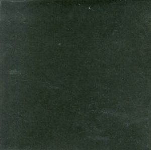 「Franco FONTANA / Franco Fontana」画像1