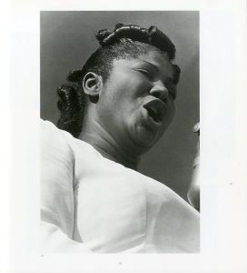 「American Musicians / Photo: Lee Friedlander　Contribution: Ruth Brown, Steve Lacy, Joel Dorn」画像1