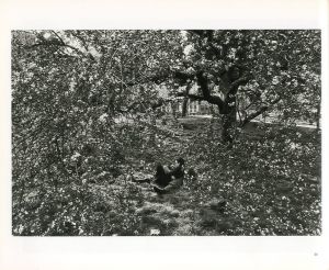 「BRUCE DAVIDSON　CENTRAL PARK / Photo / Text: Bruce Davidson　Foreword: Elizabeth Barlow Rogers　Comment: Marie Winn」画像1